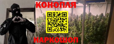 прущие крисы Нарткала