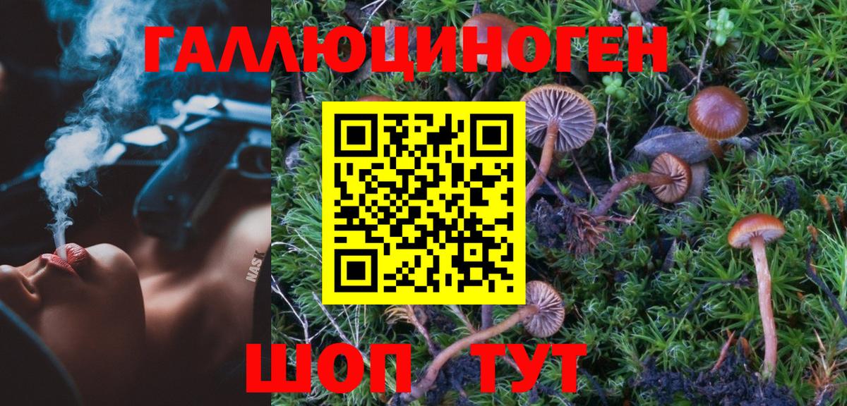 Псилоцибиновые грибы Magic Shrooms Волгоград