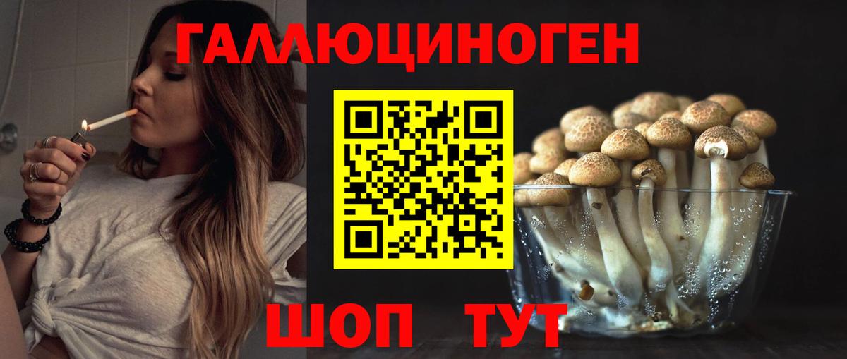 Галлюциногенные грибы Cubensis  Вход с VPN  что такое   Волгоград 